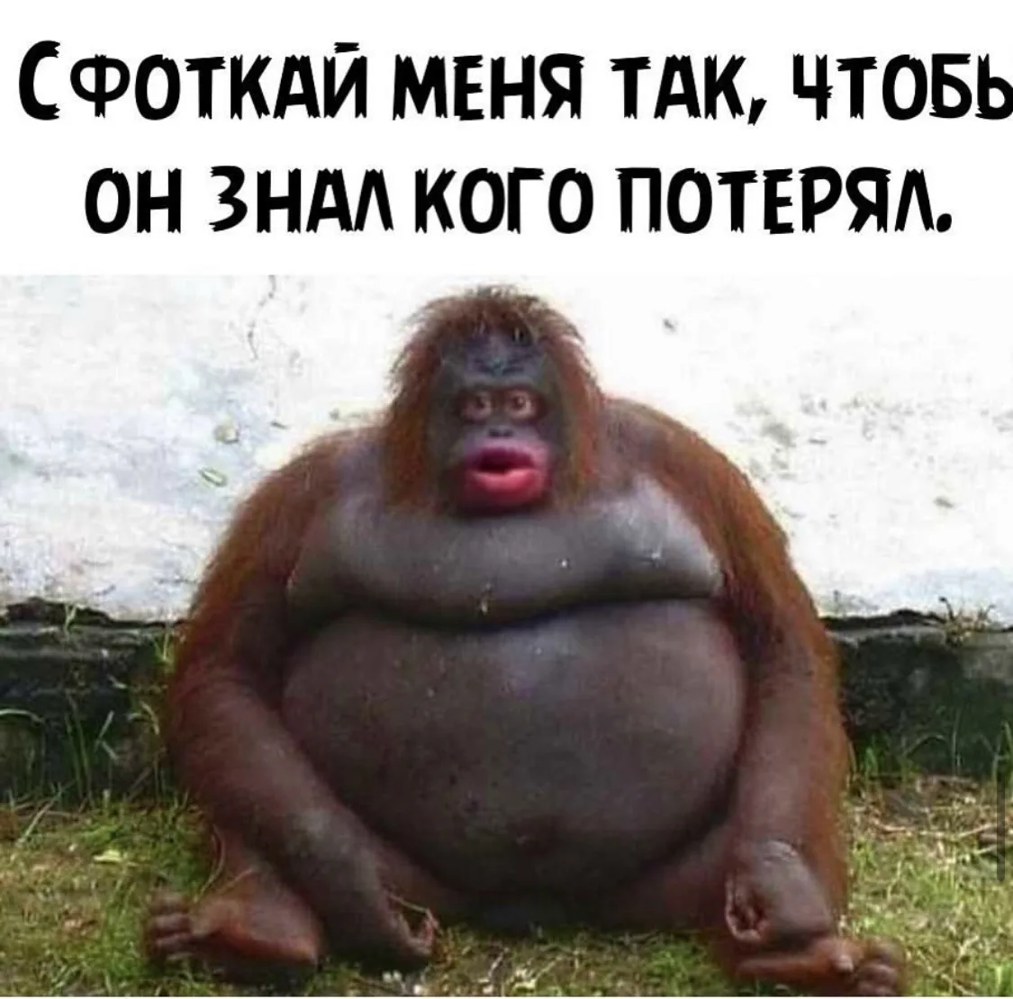 Хорошо получилась👍