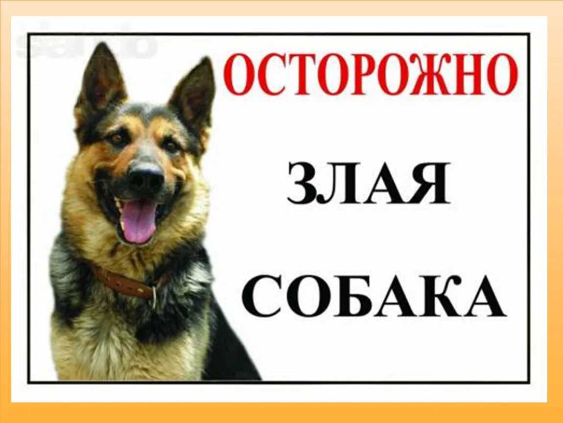 🐶 «Осторожно, злая собака»: учимся безопасному общению с животными 🐶 📆  В рамках Единого дня безо