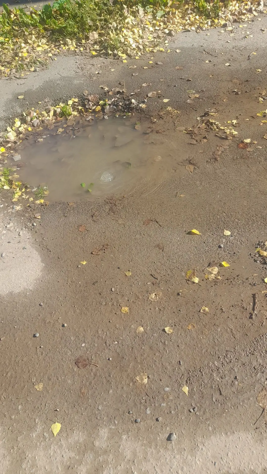 К. Маркса 83 вода бьёт ключем...
