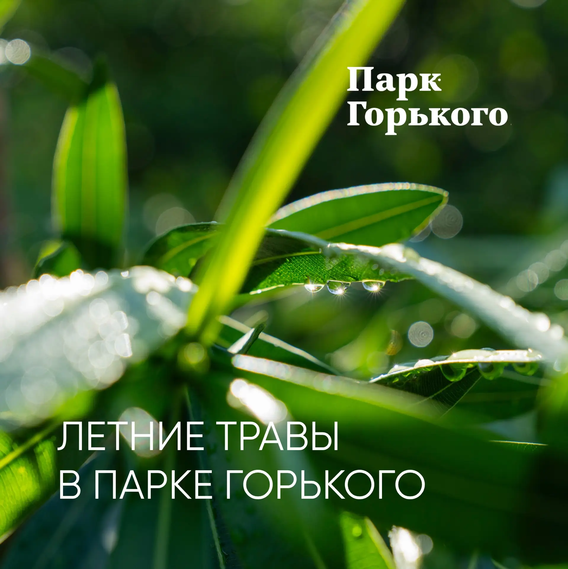 Лето — время изучать природный мир, глядя вокруг 🌳

Начинаем серию постов с интересными фактами о д