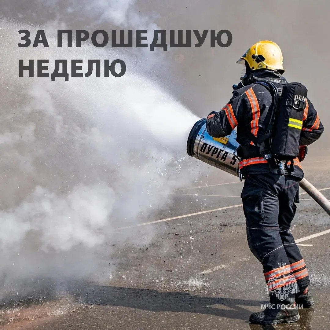 Друзья! Началась новая трудовая неделя, и самое время подвести итоги минувшей.

🔵За семь дней, с 8 
