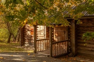 🌿 Продолжаем рассказывать о том, что можно увидеть в музее‑заповеднике «Болдино». Сего...