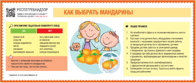Роспотребнадзор рекомендует, как выбрать мандарины