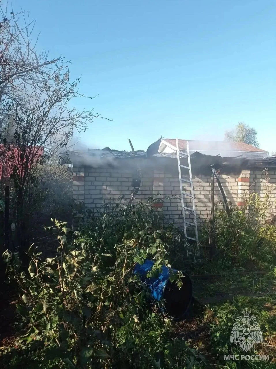 Семь домашних животных погибли при пожаре в Нижегородской области