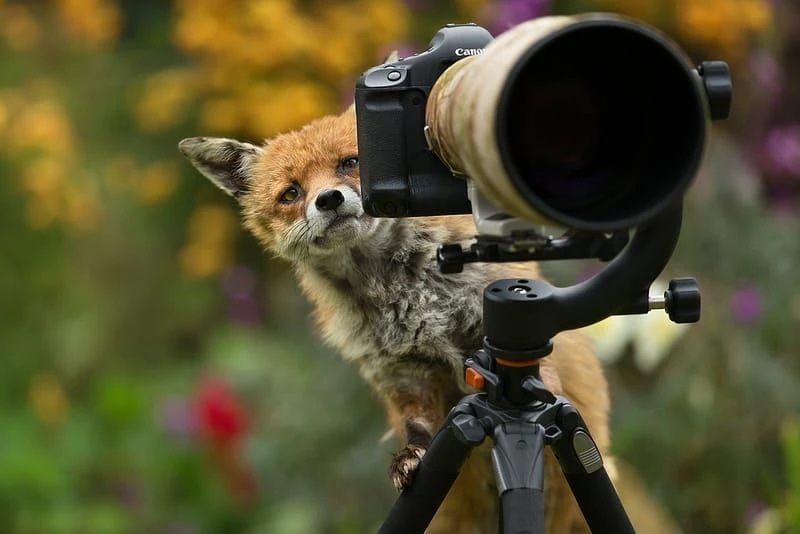 С Днём фотографа! 🎉