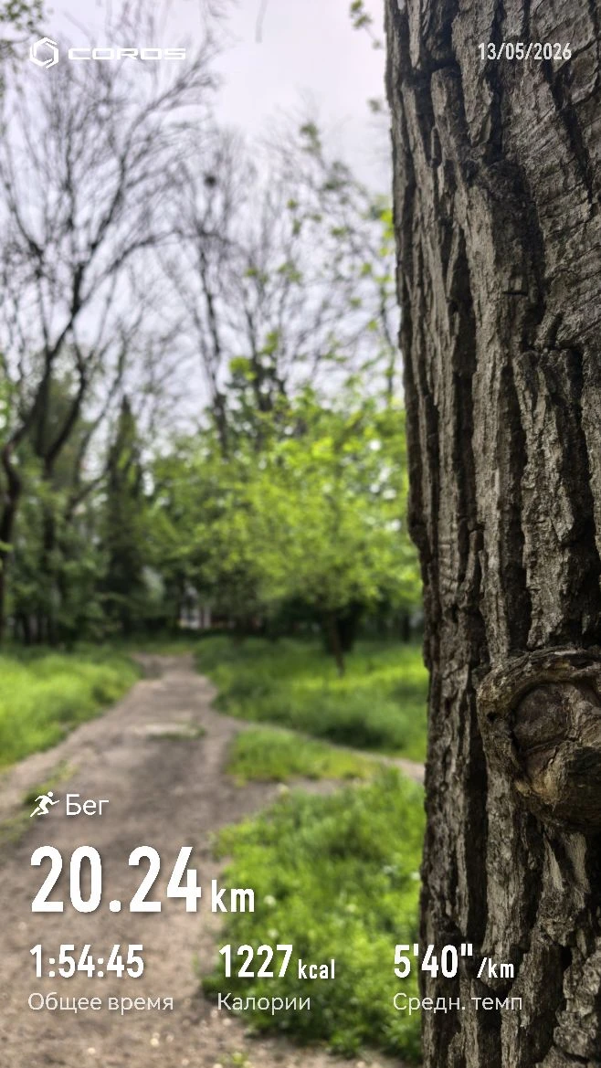 Утро в парке - лучшее утро 🏃🏻‍♂️😎