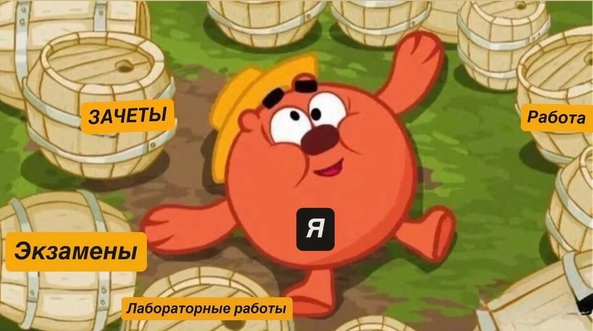 Все студенты в конце учебного года немного Копатыч 🐻

Когда вокруг столько бочек с делами, что даже