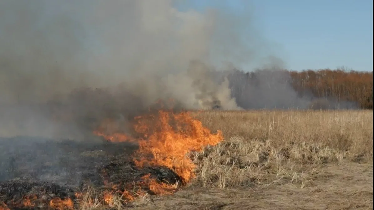 🔥 В августе в Воронежской области ожидается очень высокий риск лесных пожаров. 
 
В зоне риска — Во