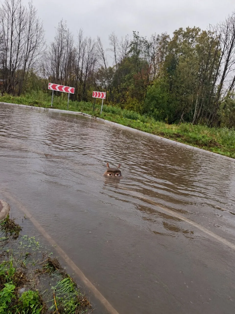 ⚡ Жители Архангельска замучались водить детей до школы через дорогу-озеро в Майской Горке