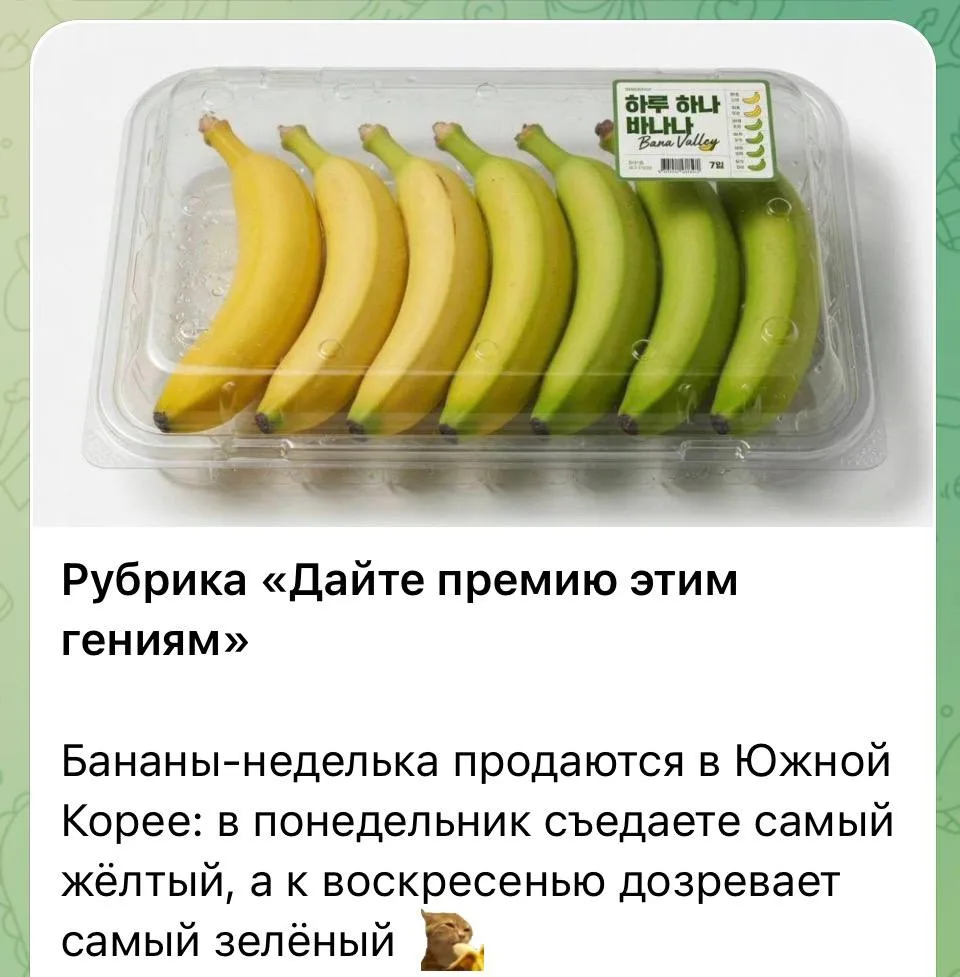 Аккуратисты есть в этом чате?😉

Галстукова On Air Подписаться