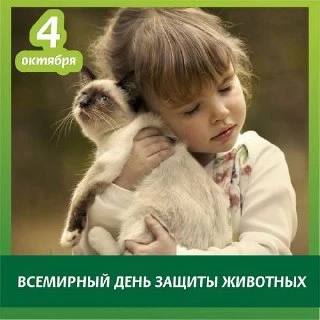🎁 Поздравления 👏