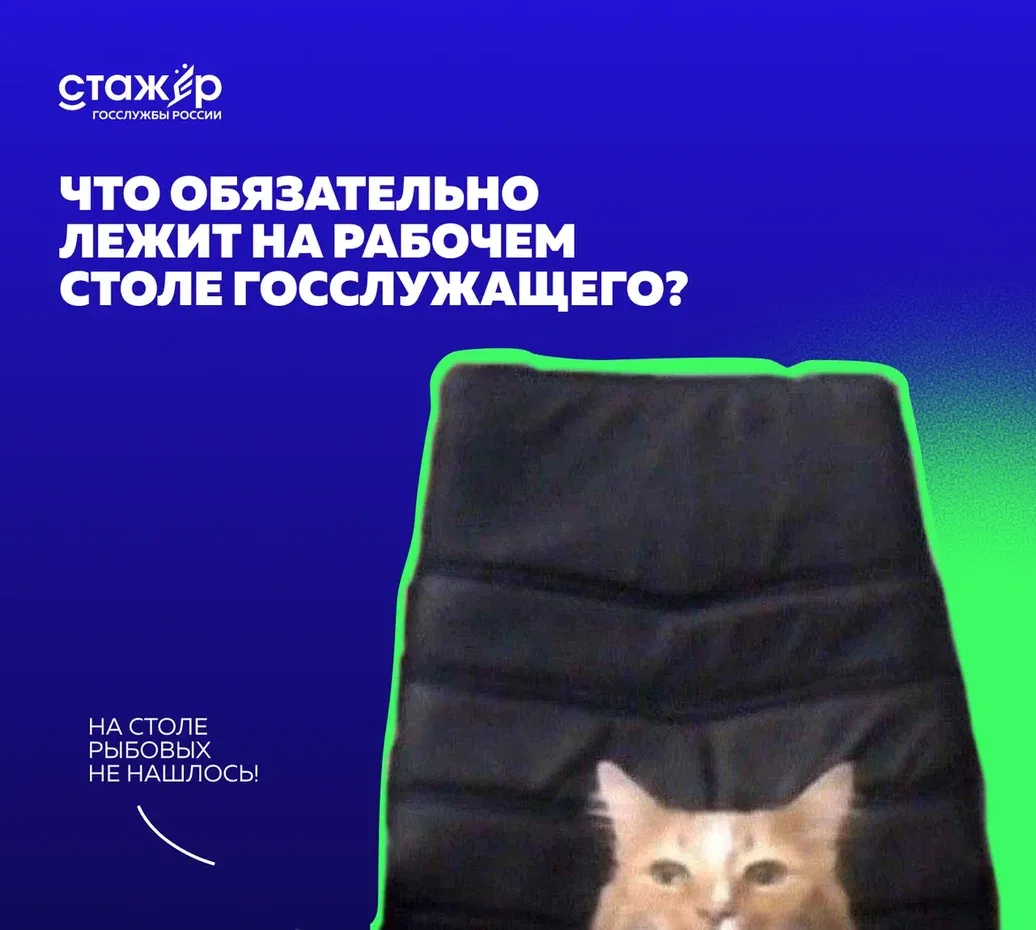 На прошлой неделе мы предложили участникам сообщества показать свои рабочие места. Спасибо всем, кто