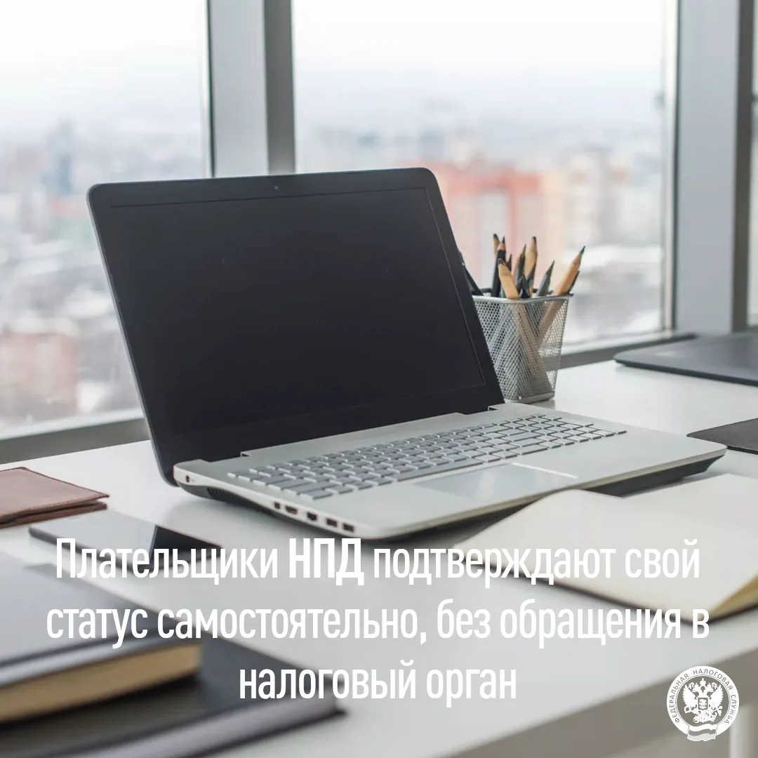 Самостоятельно подтверждаем статус и доход: возможности для плательщиков НПД 📄
