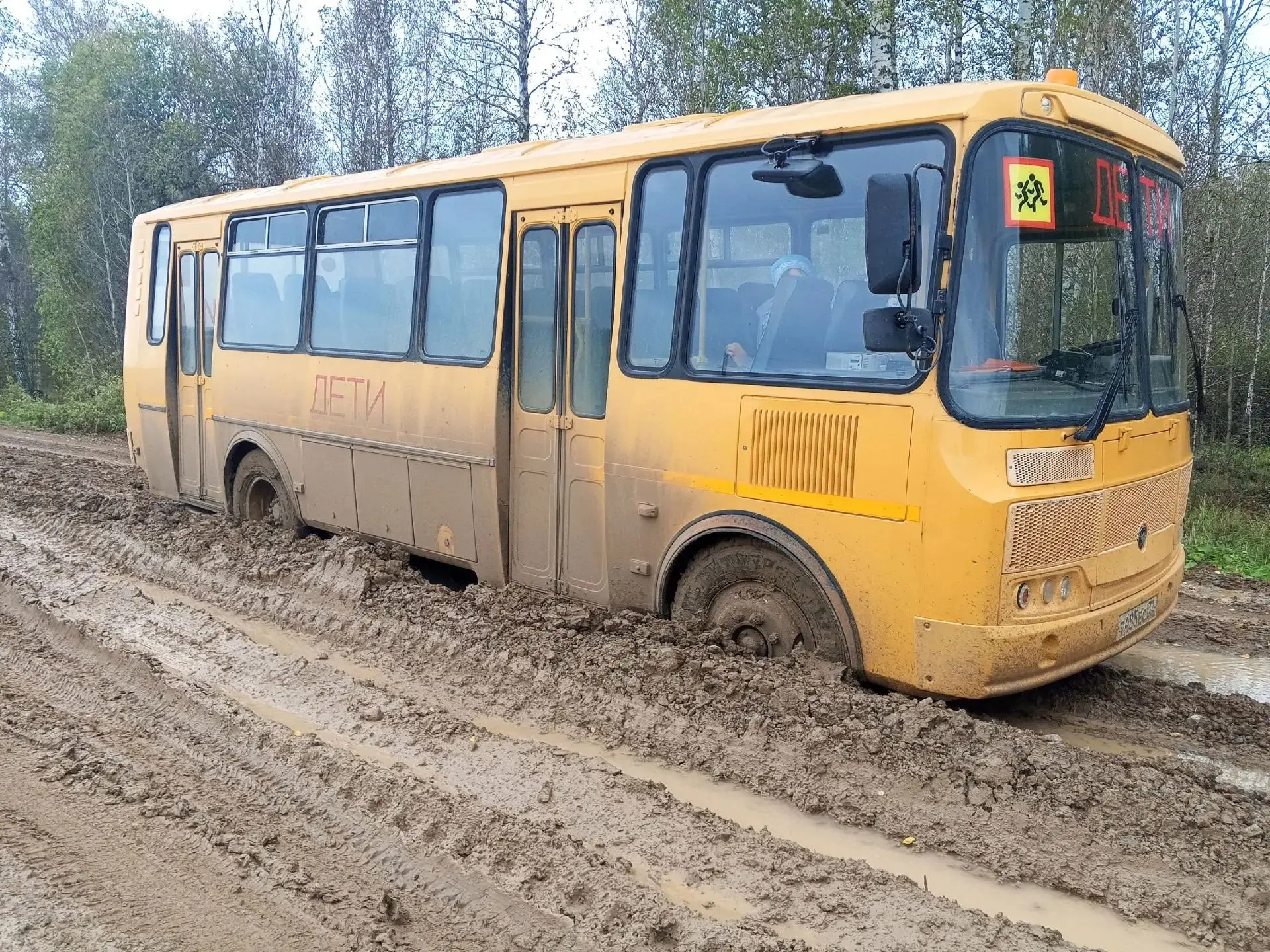 От подписчицы: