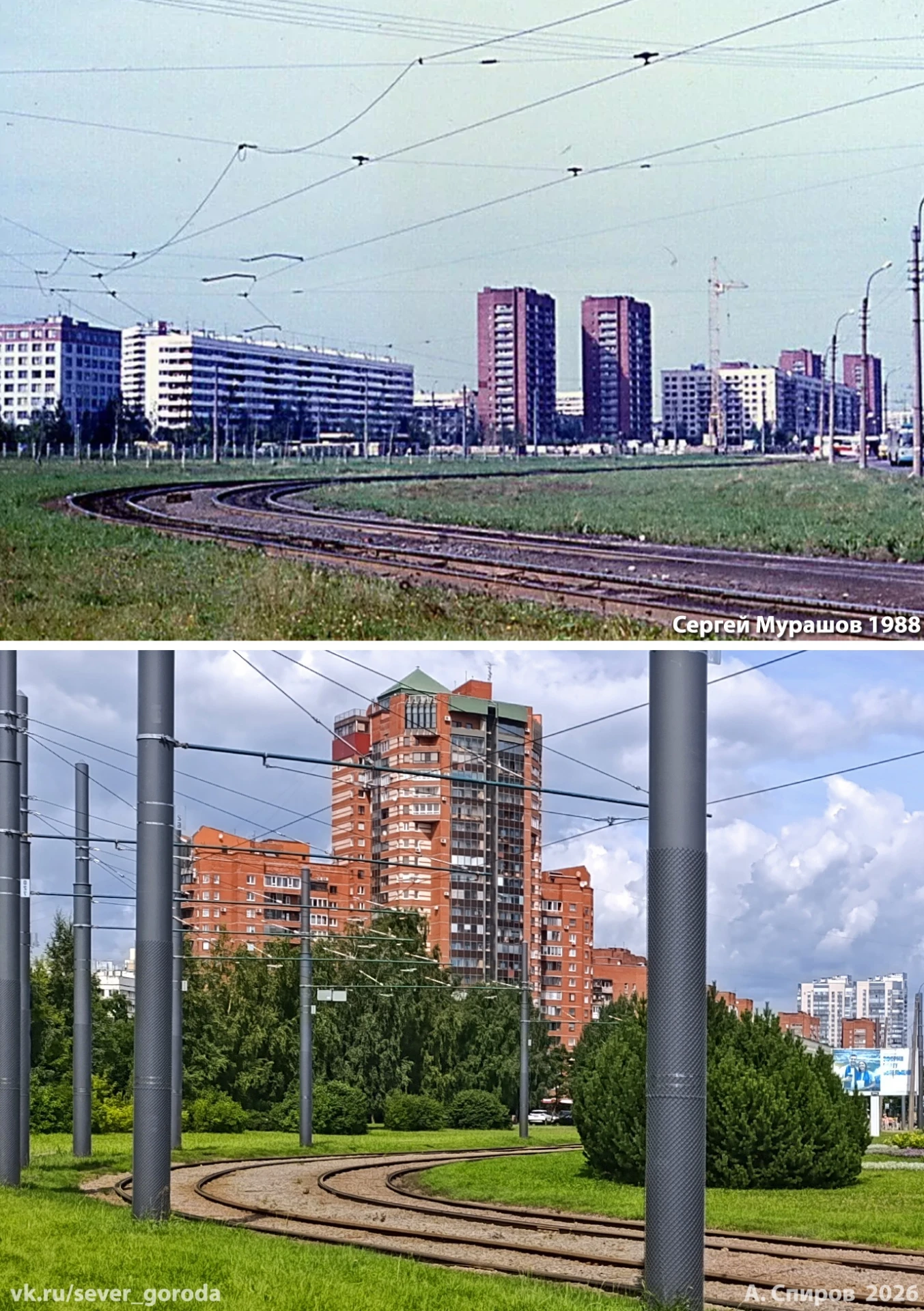 На углу проспектов Луначарского и Культуры почти за 40 лет много ШО выросло. Это и "упл...