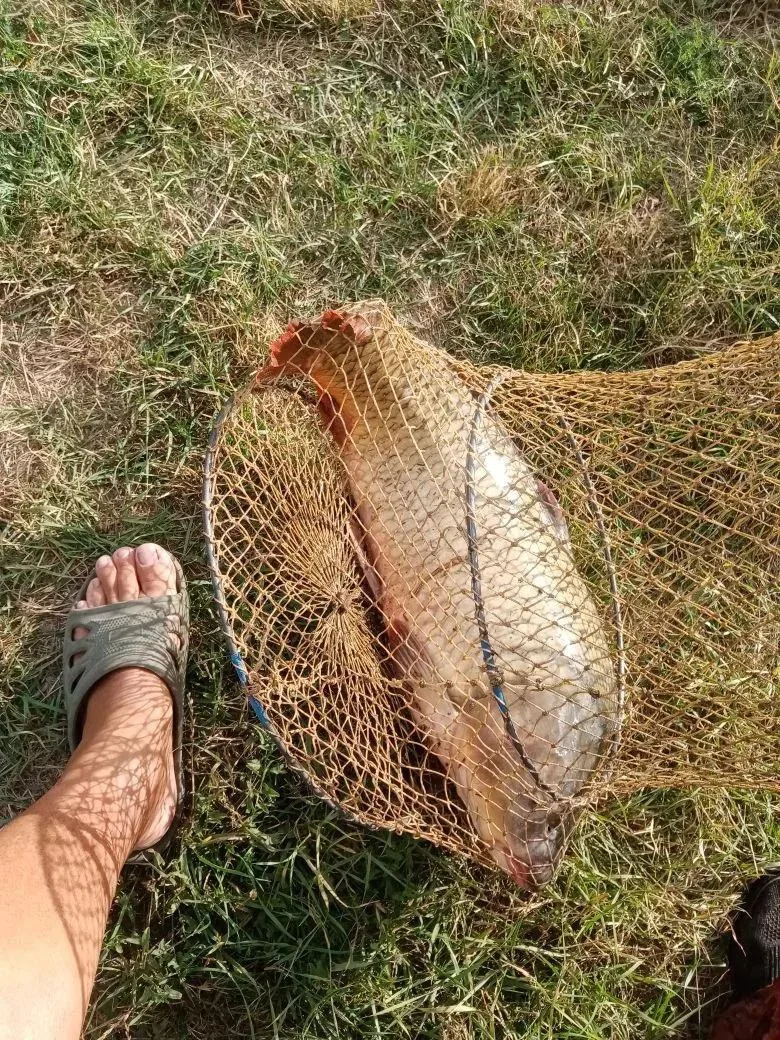 НОВОМАРЬЕВСКИЕ ЧЕКИ 26-27.08