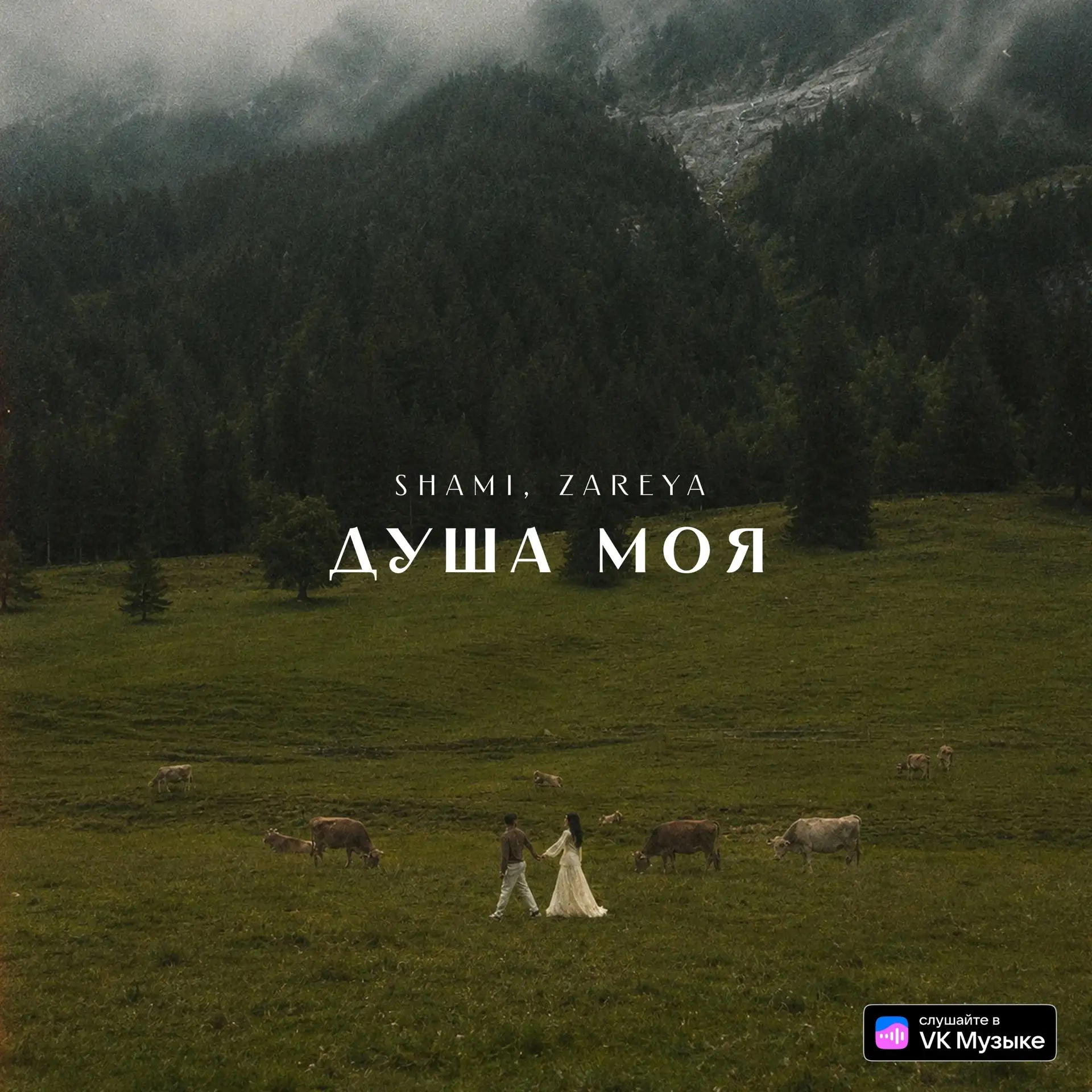 SHAMI, Zareya — Душа моя