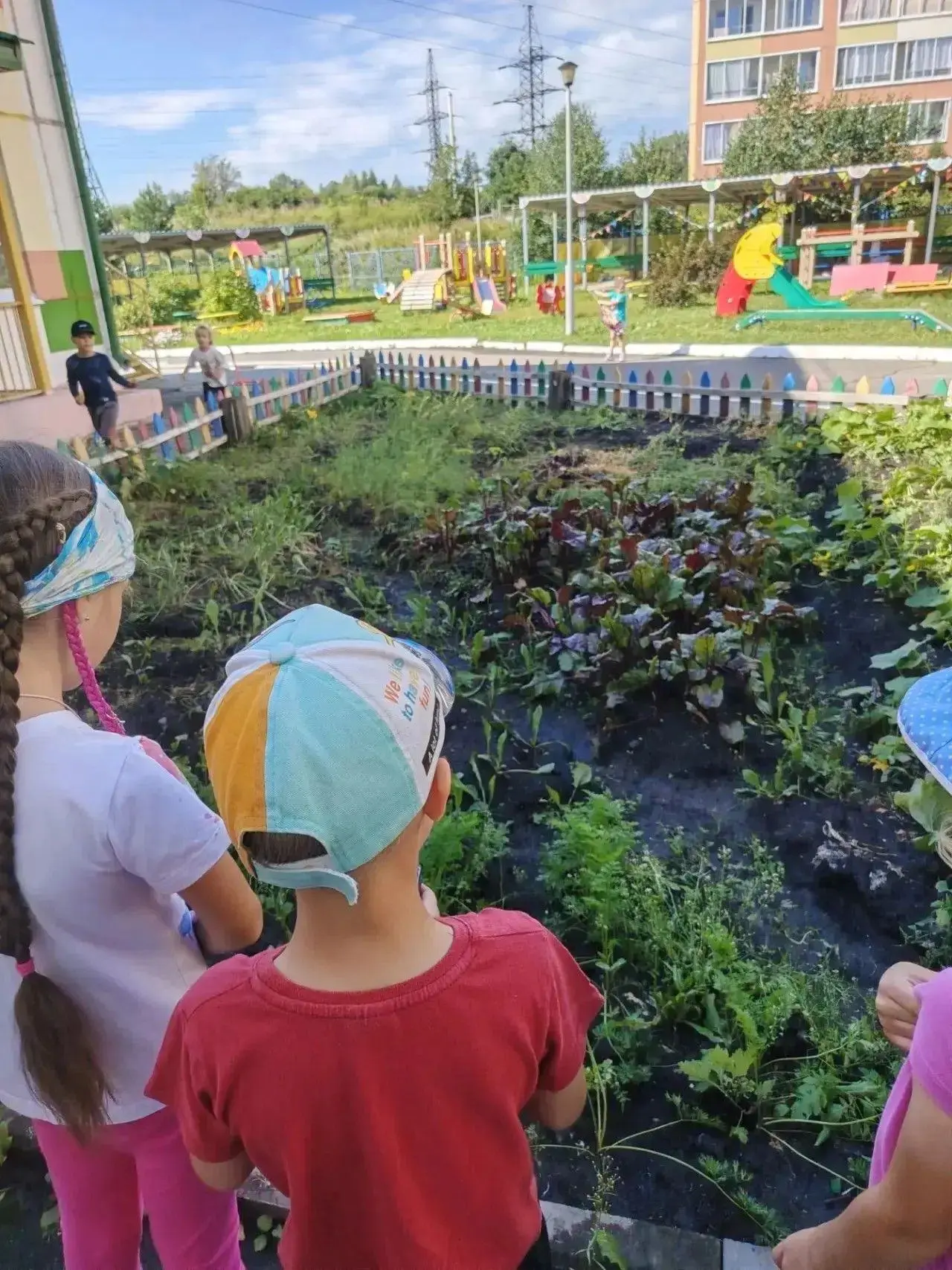 🌿 Юные экологи: наблюдаем и познаём мир!
