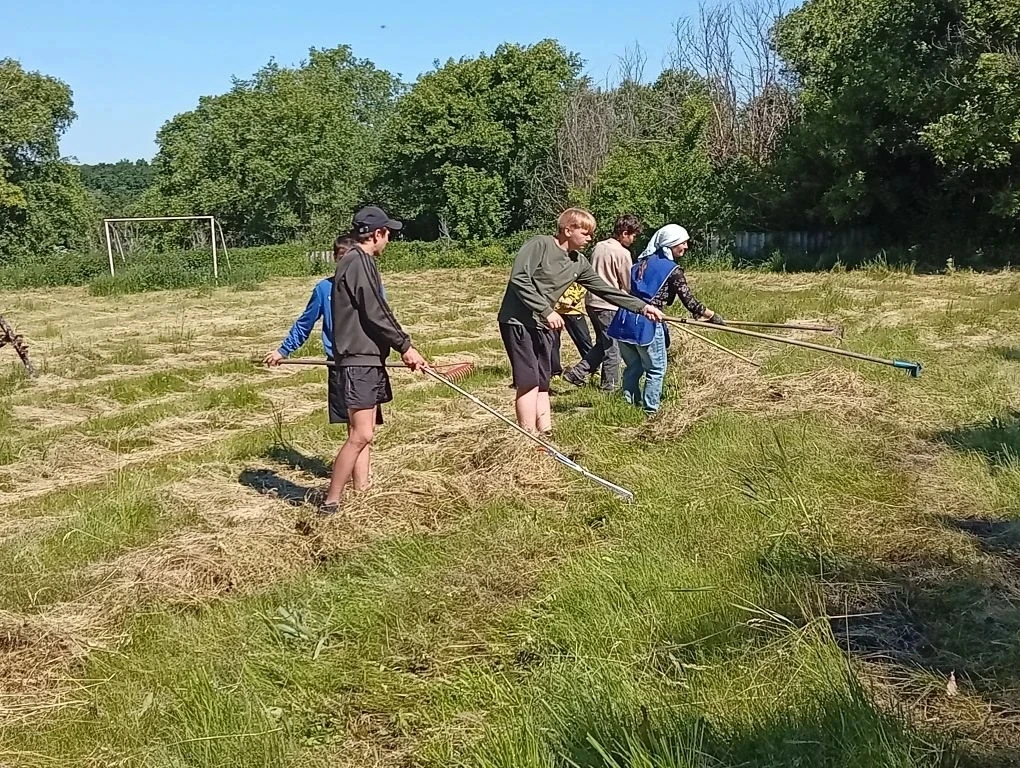 🛠 Лагерь труда и отдыха в самом разгаре!