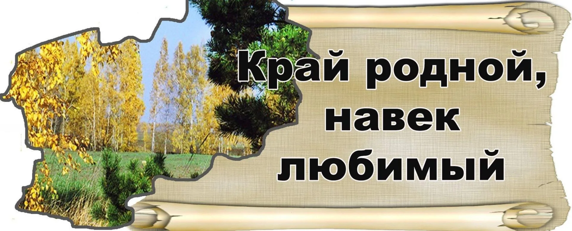 #МариБиляморскаябиблиотека