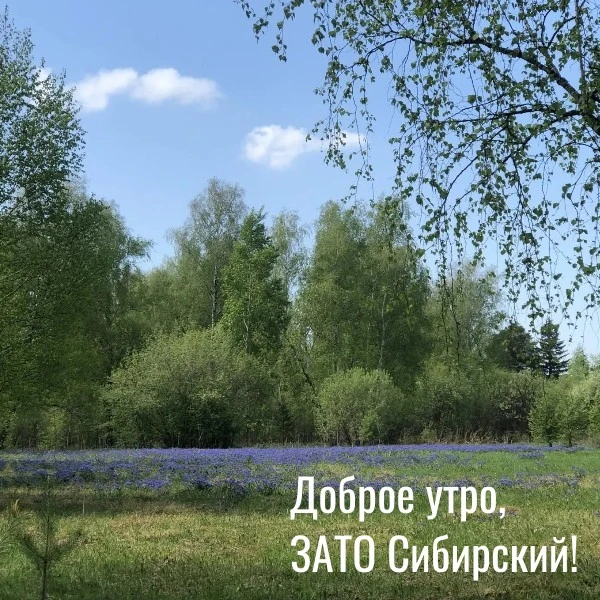 Доброе утро четверга, ЗАТО Сибирский!

Действует штормовое предупреждение №15-3: в Алтайском крае  с
