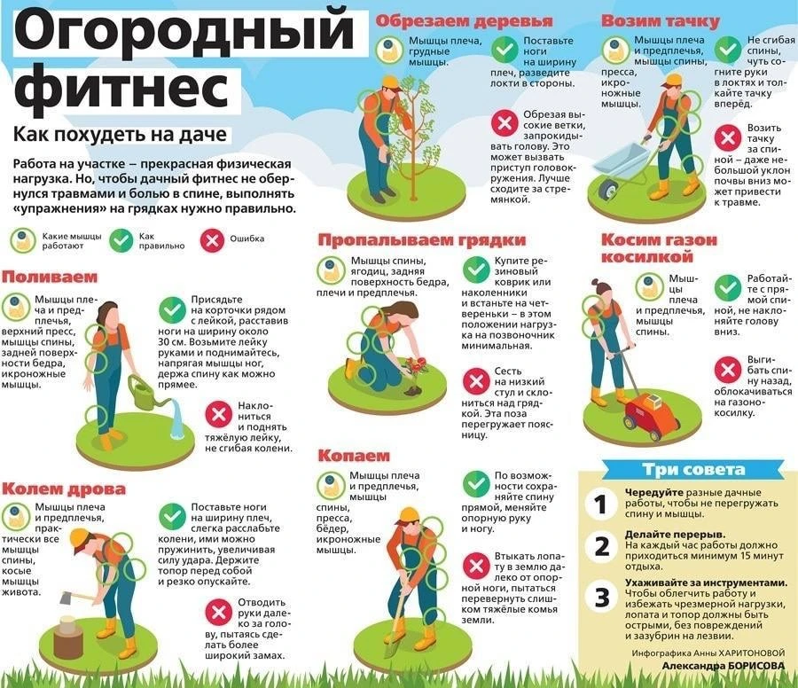 🏡 Работа в огороде может быть полноценной физической нагрузкой. Но очень важно не убит...