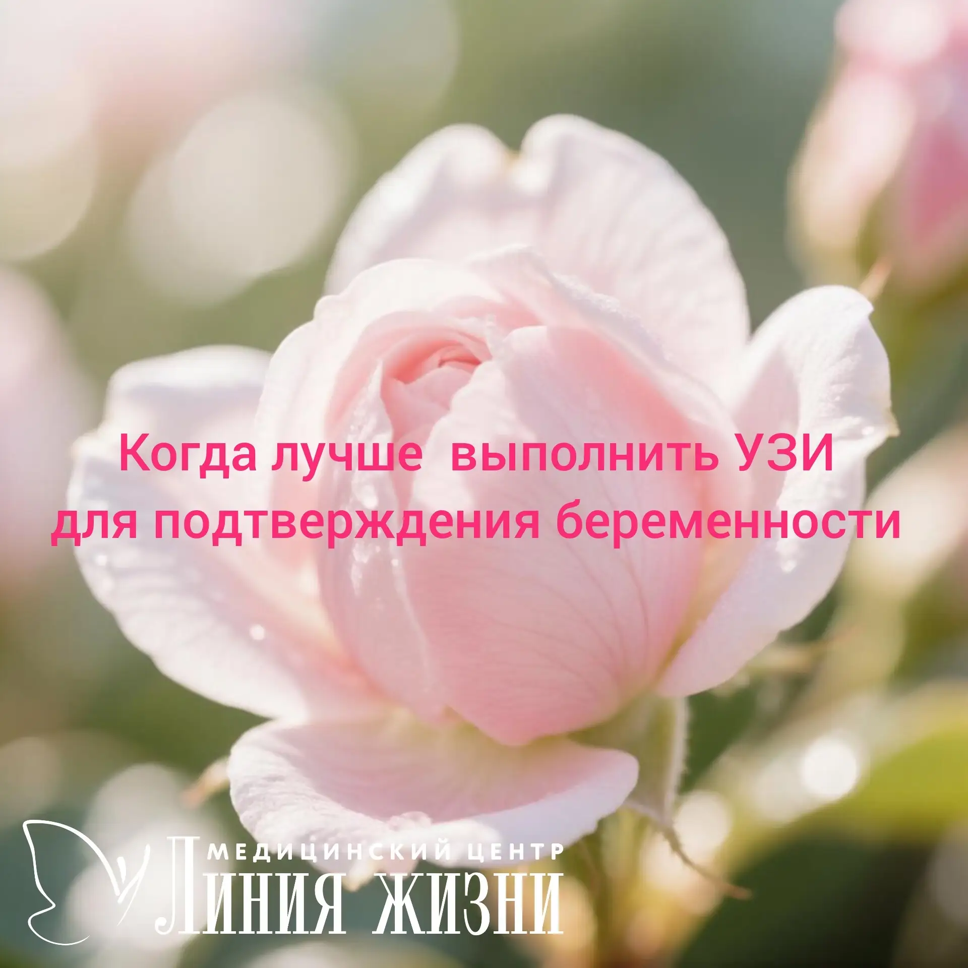 УЗИ при беременности на ранних сроках обычно назначают через 5–7 дней после задержки ме...