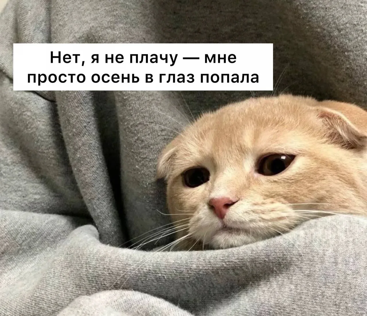 Тоска по уходящему лету дольше двух недель может быть признаком депрессии, — психологи