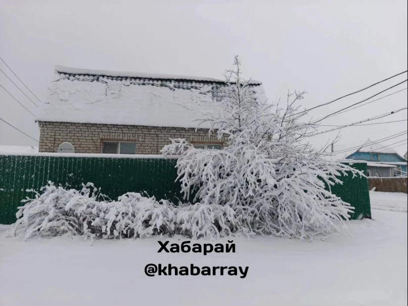 ❄️ И еще немного сегодняшнего снегопада из Охотска. За фото спасибо нашей подписчице!