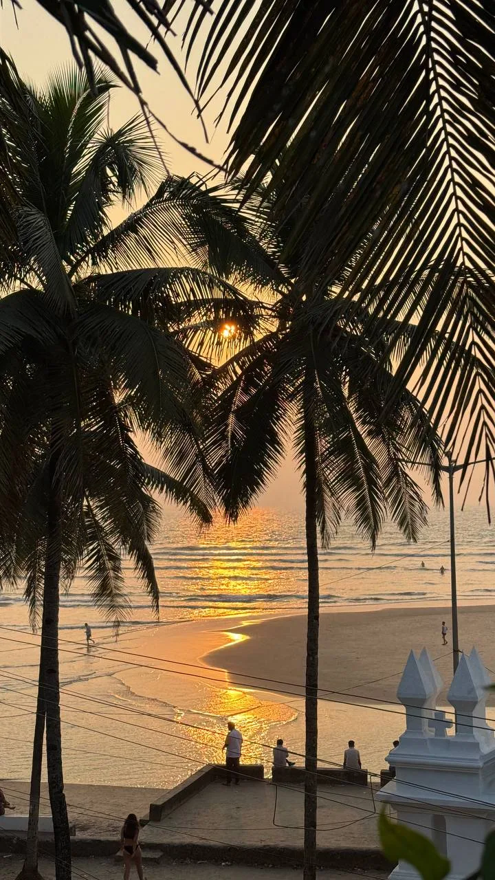 ЛЕТИМ В ГОА🌴🇮🇳