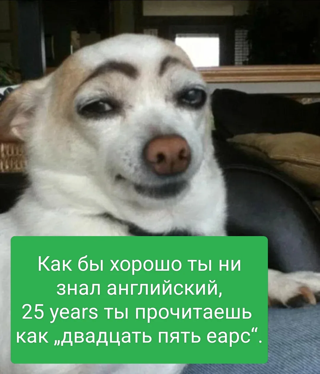 Мы ?))