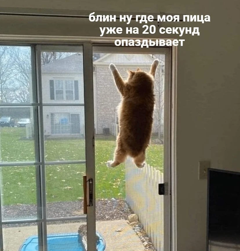 😭😭