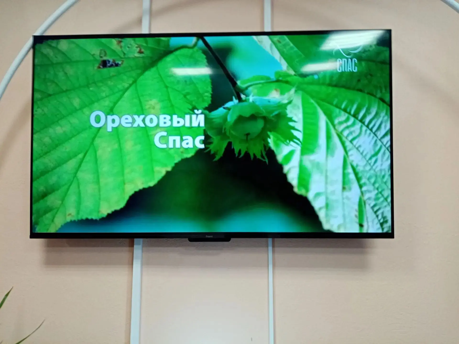 Ореховый спас в доме-интернате!