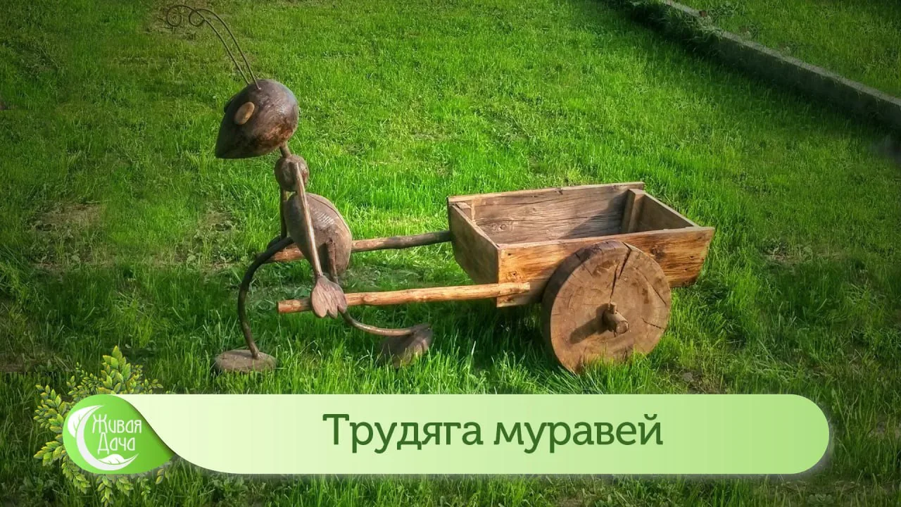 Если не будет муравьёв?
