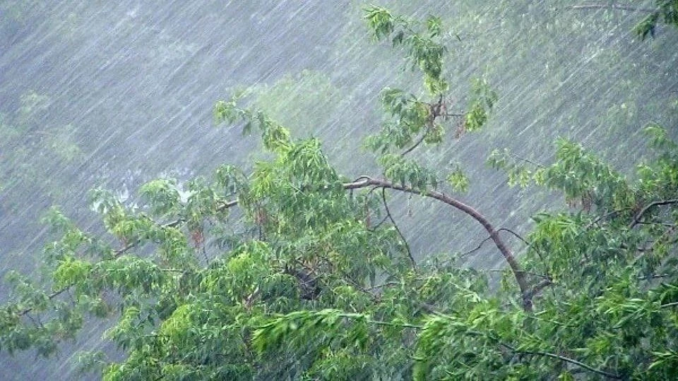 🚨️ВНИМАНИЕ! Штормовое предупреждение!

☔️Днем 17 июля и в течение суток 18 июля по республике ожида