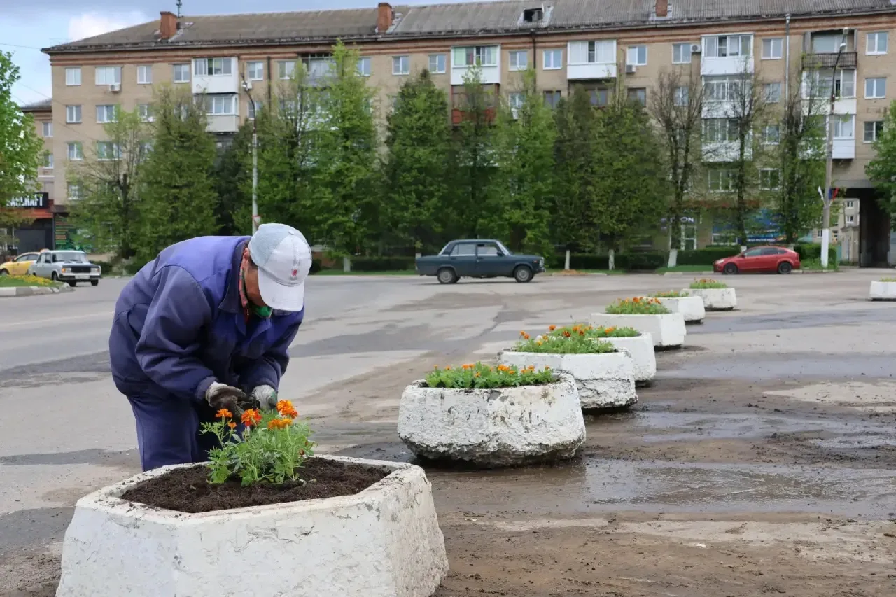 Живое украшение города  Сотрудники «Районного благоустройства» приступили к высадке цветов на городс