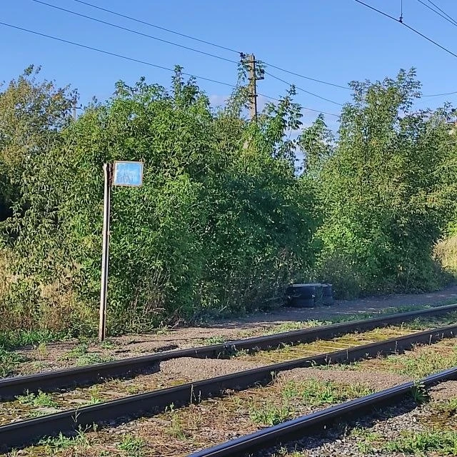 Анонимно