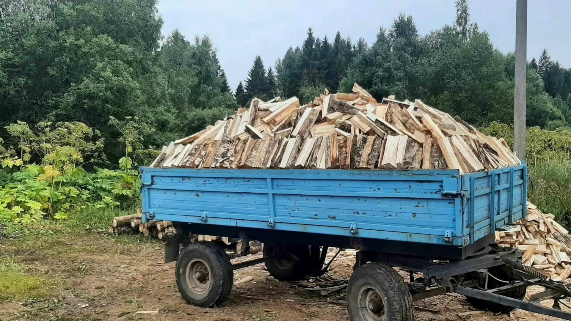 Продам колотые дрова, смесь.