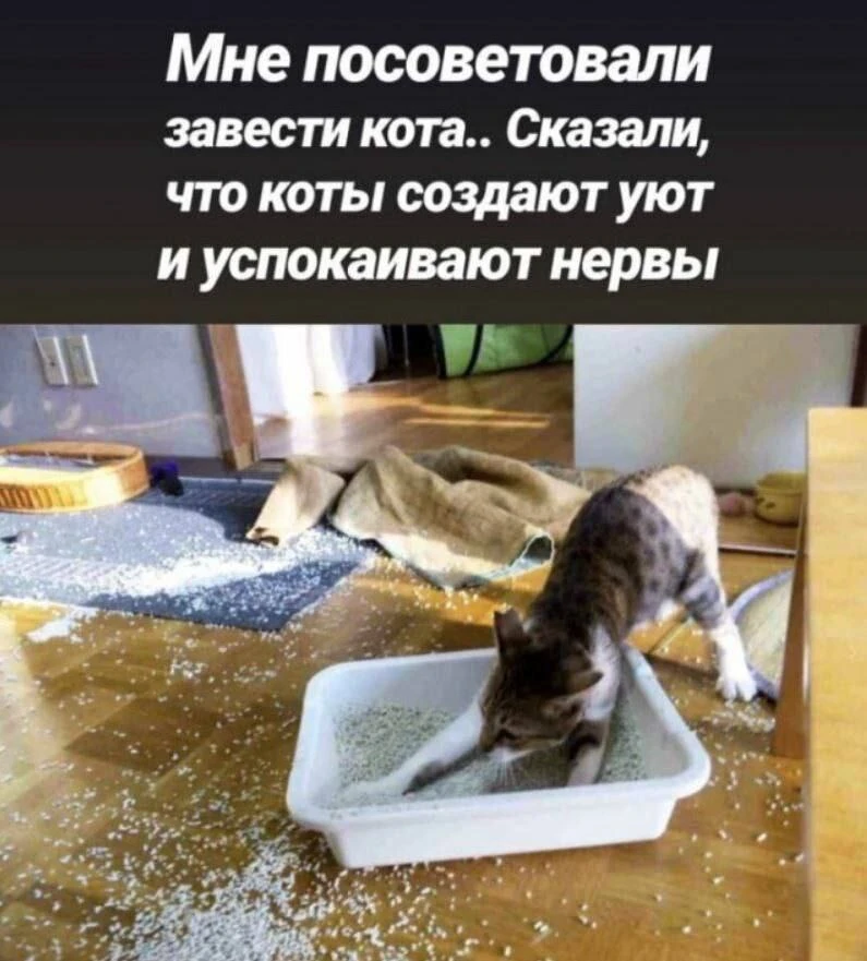 👉 Психолог Саша