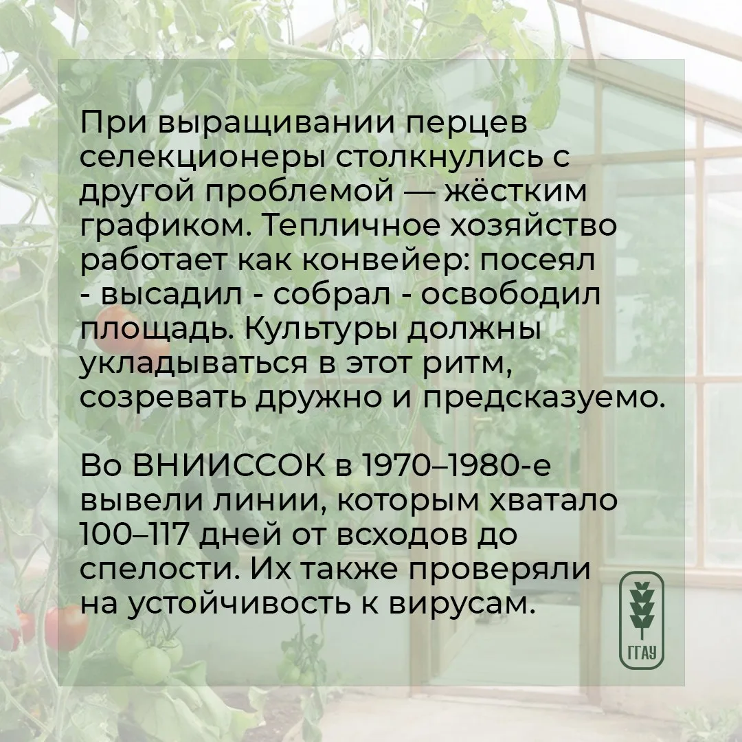 😉 Для одних понедельник – день тяжелый, а мы его сделаем – полезным и интересным. И расскажем о… пол