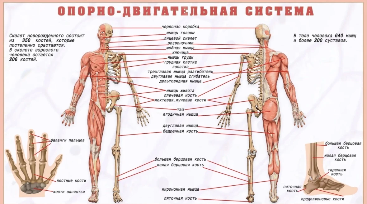 Ну что, все, кто хотел, опрос прошли. Обещала, отвечаю.