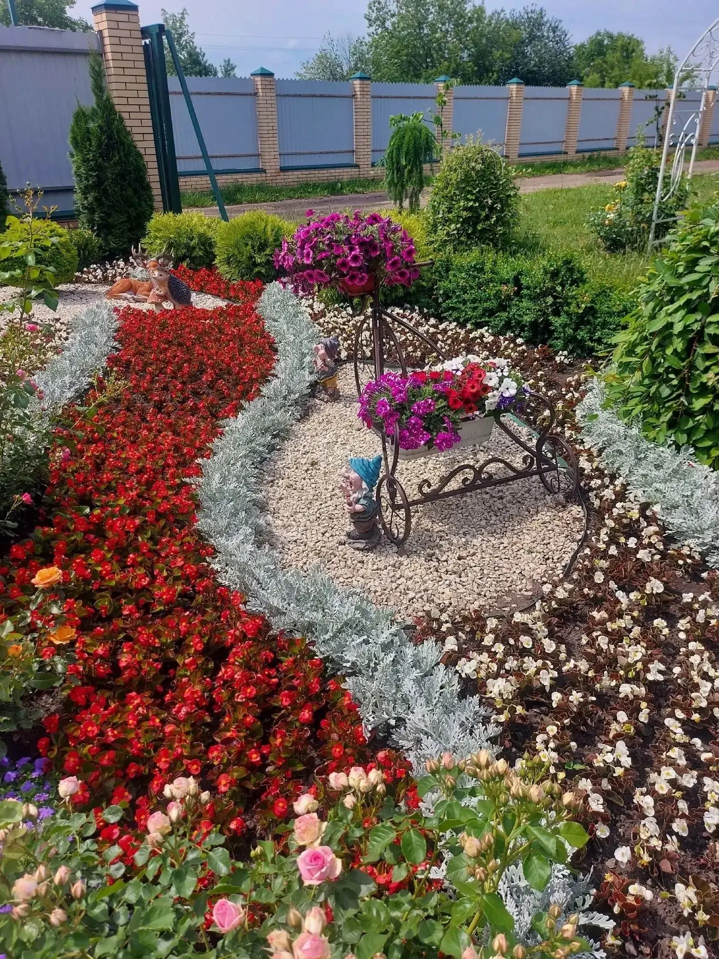 🌸Дорогие друзья. Делимся с вами фото  цветочных клумб  Щигровского дома социального облуживания.