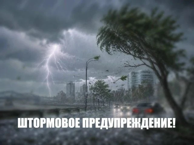 ⚡️⛈️Штормовое предупреждение! 🌂Сегодня и в выходные понадобится зонт.