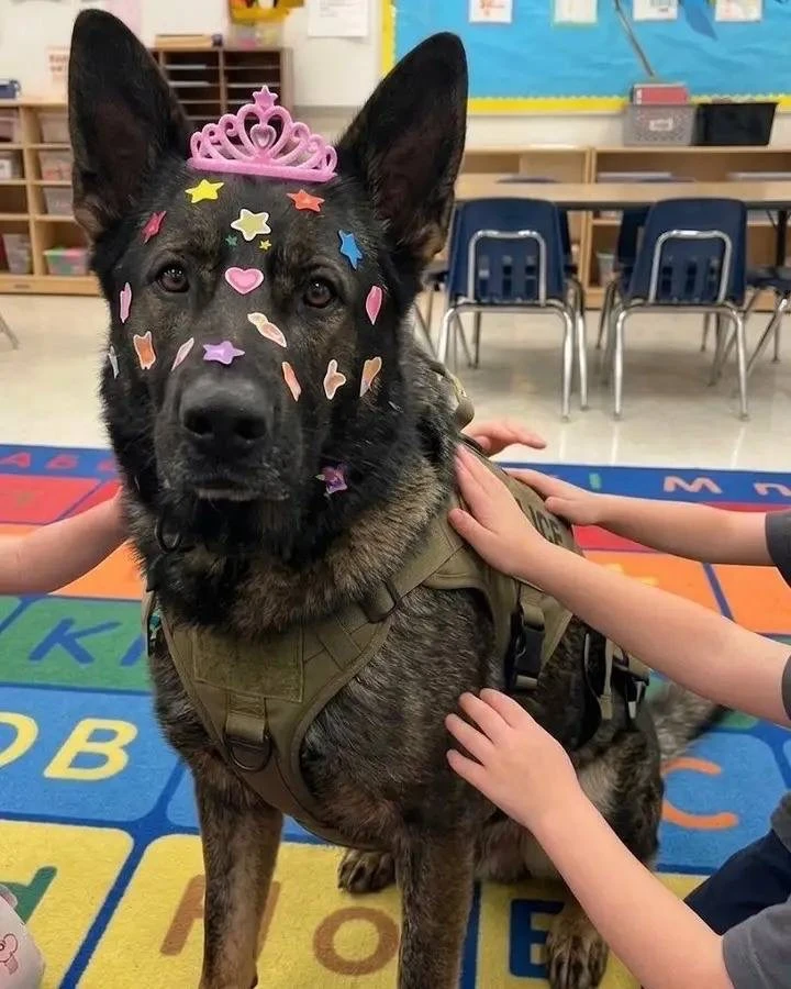 Полицейский пёс пришёл в школу и ушёл настоящей звездой 🐶