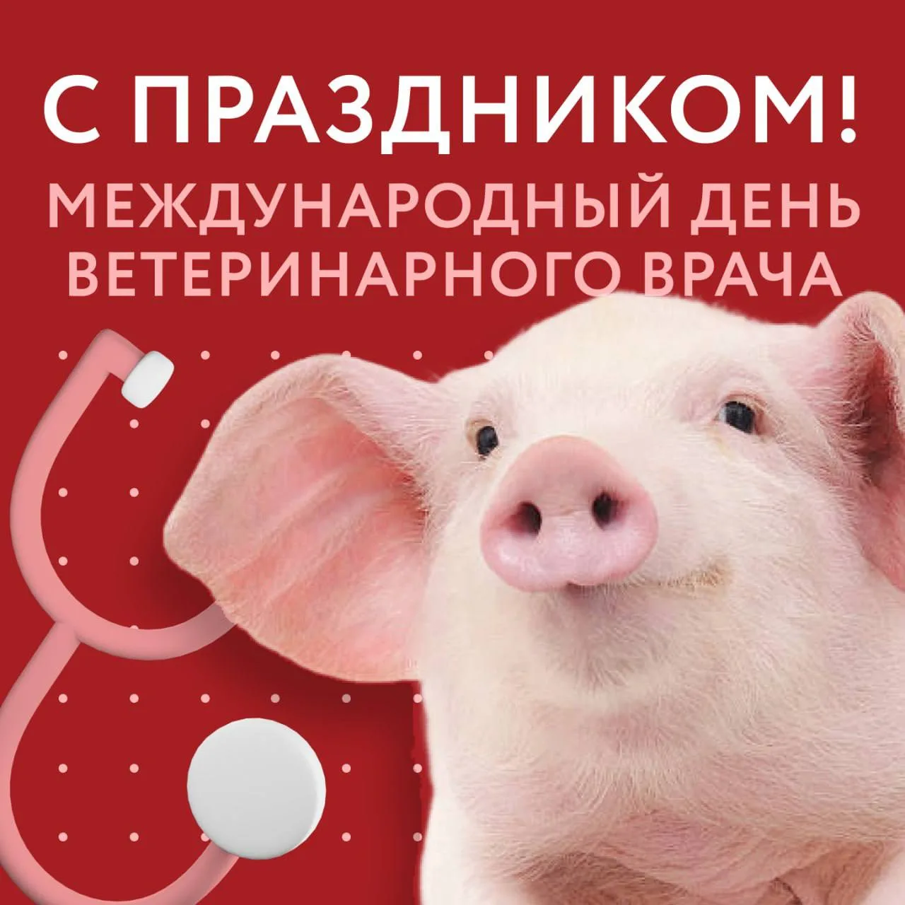 🩺 С Международным днём ветеринарного врача!