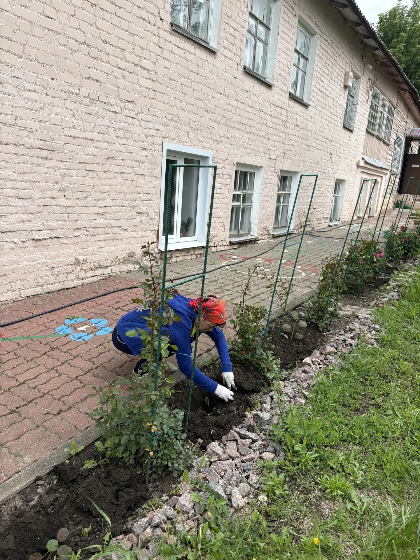 🌿Станция юннатов преобразилась в честь Дня России и своего профессионального праздника!❤

👫Сотрудн