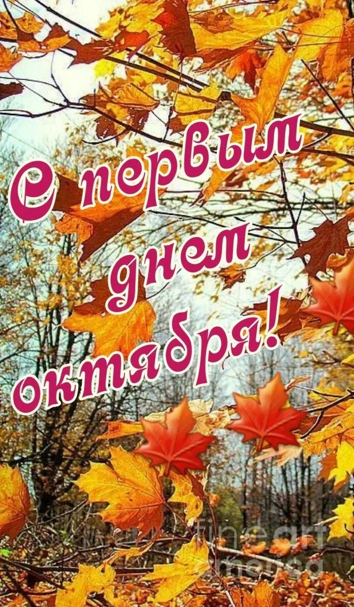 🍂Доброе октябрьское утро!