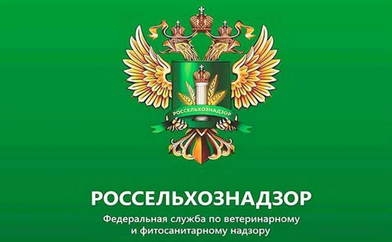 В Забайкалье с 1 октября дроны и камеры начнут фиксировать нарушения при обработке поле...