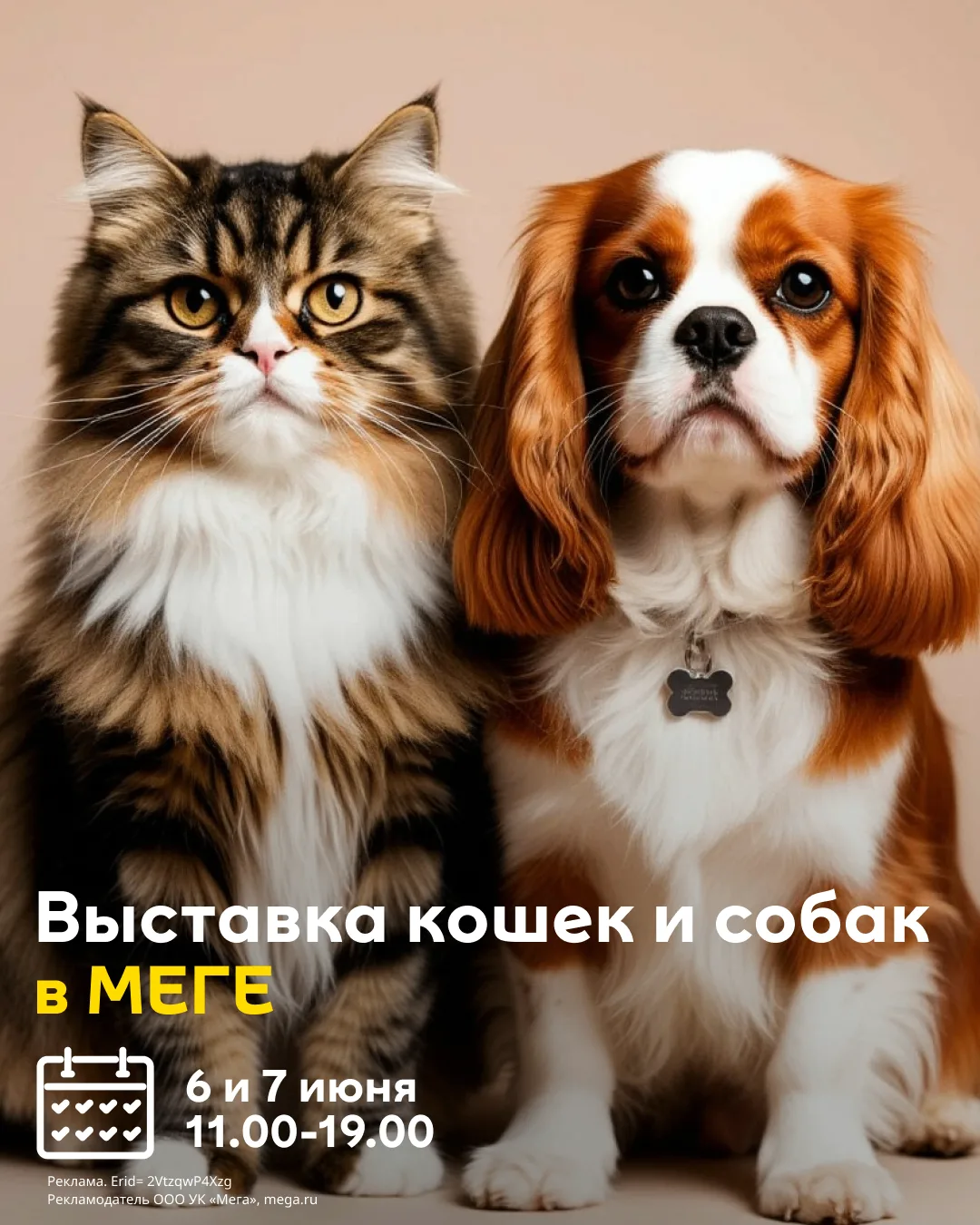 Вживую лучше, чем на экране! Выставка собак, кошек, щенков и котят в МЕГЕ🐶🐱