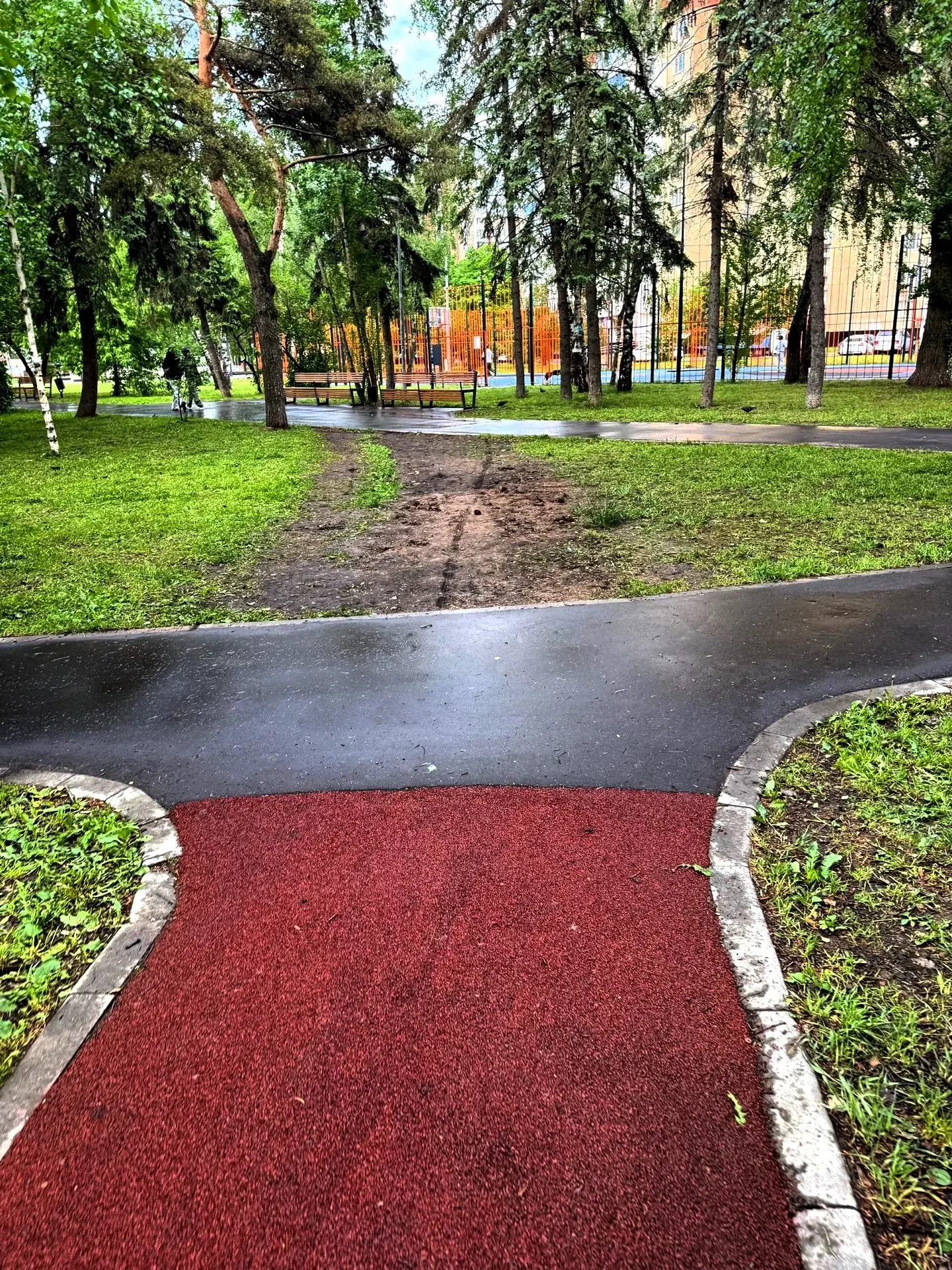 🌳Жители Жулебино предлагают продлить тротуар в берёзовой роще

На Жулебинском бульваре местные жите